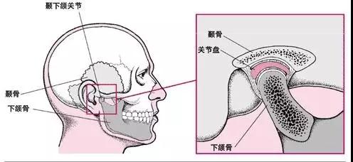 赛德阳光科普示意漫画图