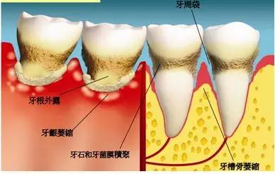 赛德阳光口腔超多全科诊疗福利