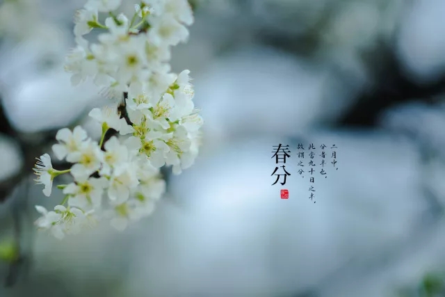 【赛德涨姿势】春分护牙，你不得不知的秘密