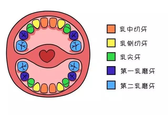 儿牙专家鲁莉英解读窝沟封闭和涂氟 赛德阳光口腔 北大口腔