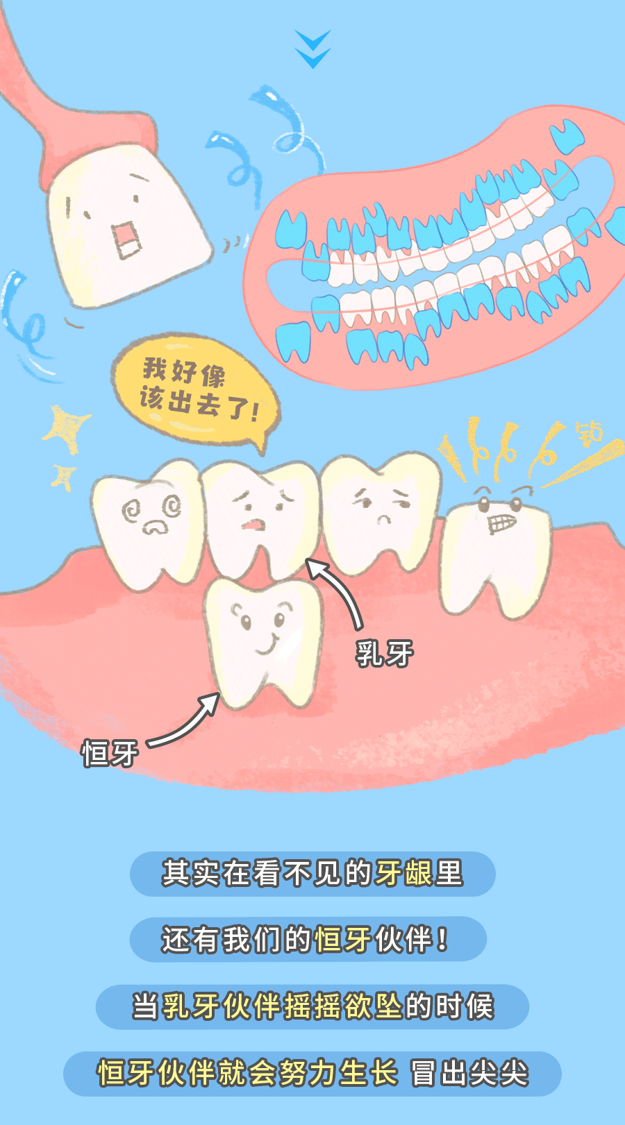 一颗牙齿的冒险(6).gif