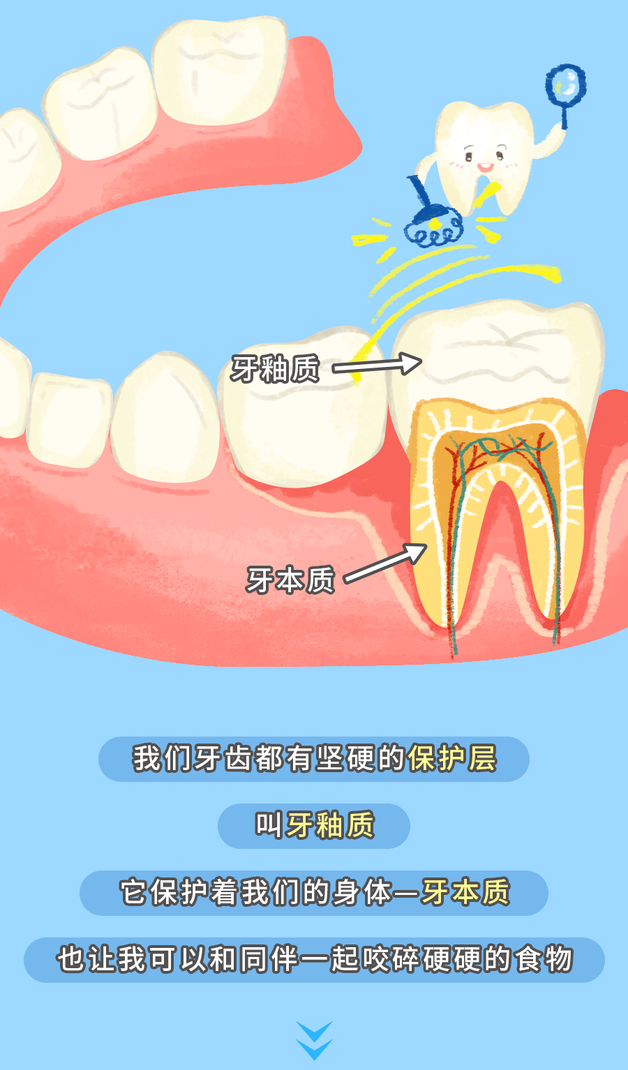 一颗牙齿的冒险(3).gif