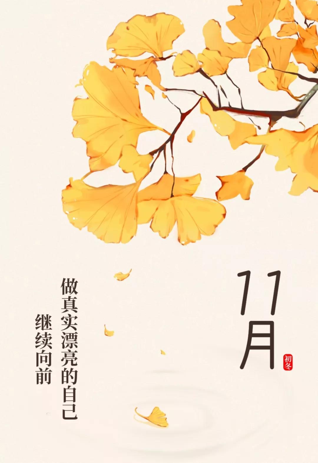红枫妖娆 银杏金黄