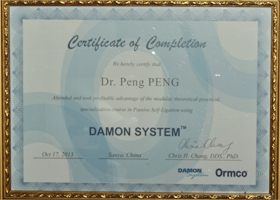 彭鹏Damon系统研修证书